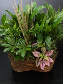 Emerald Dish Garden Flower Bouquet