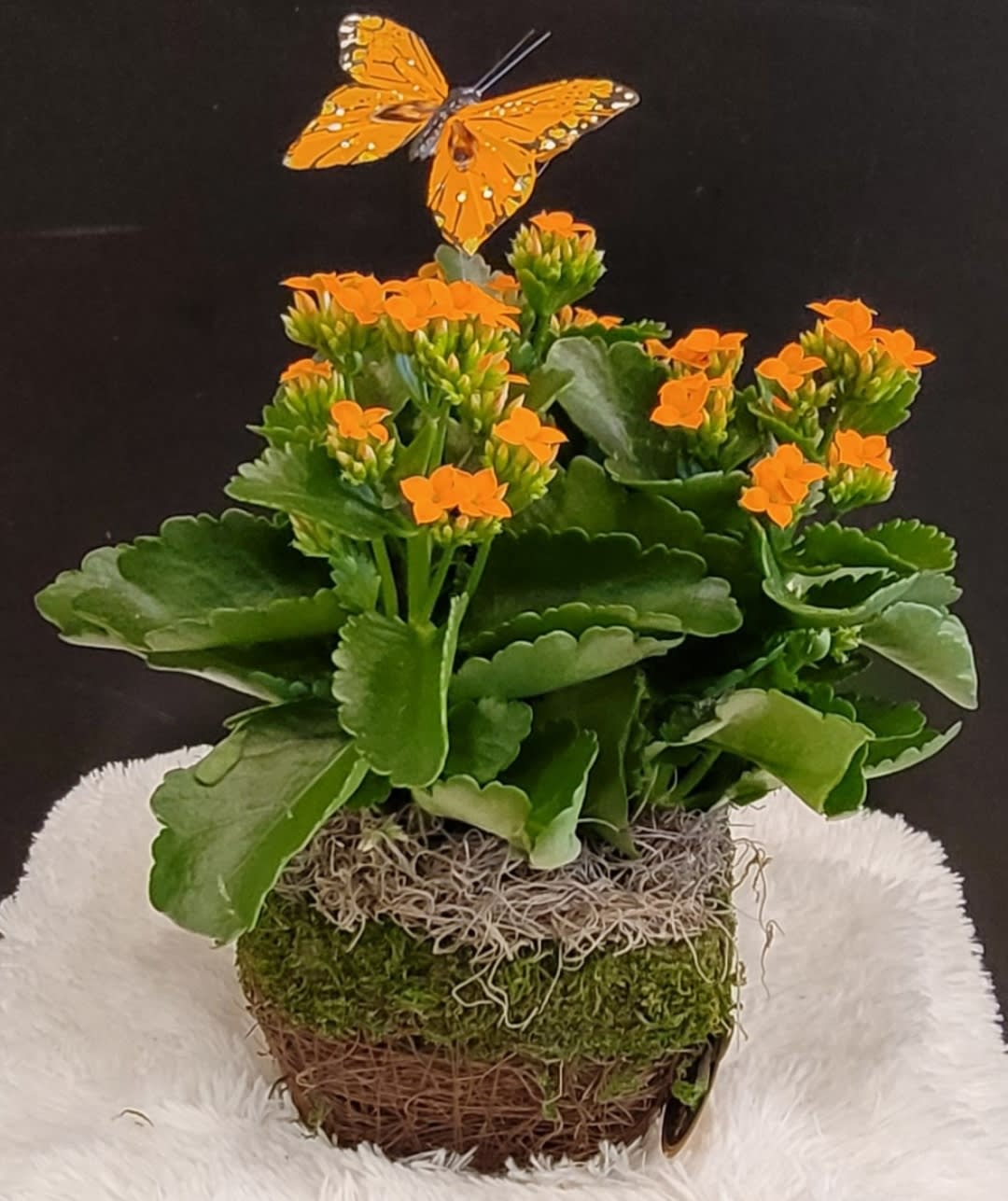 Blooming Butterfly Love Flower Bouquet