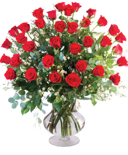 THREE DOZEN RED ROSES