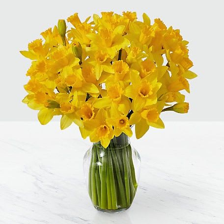 50 Daffodils vased Flower Bouquet