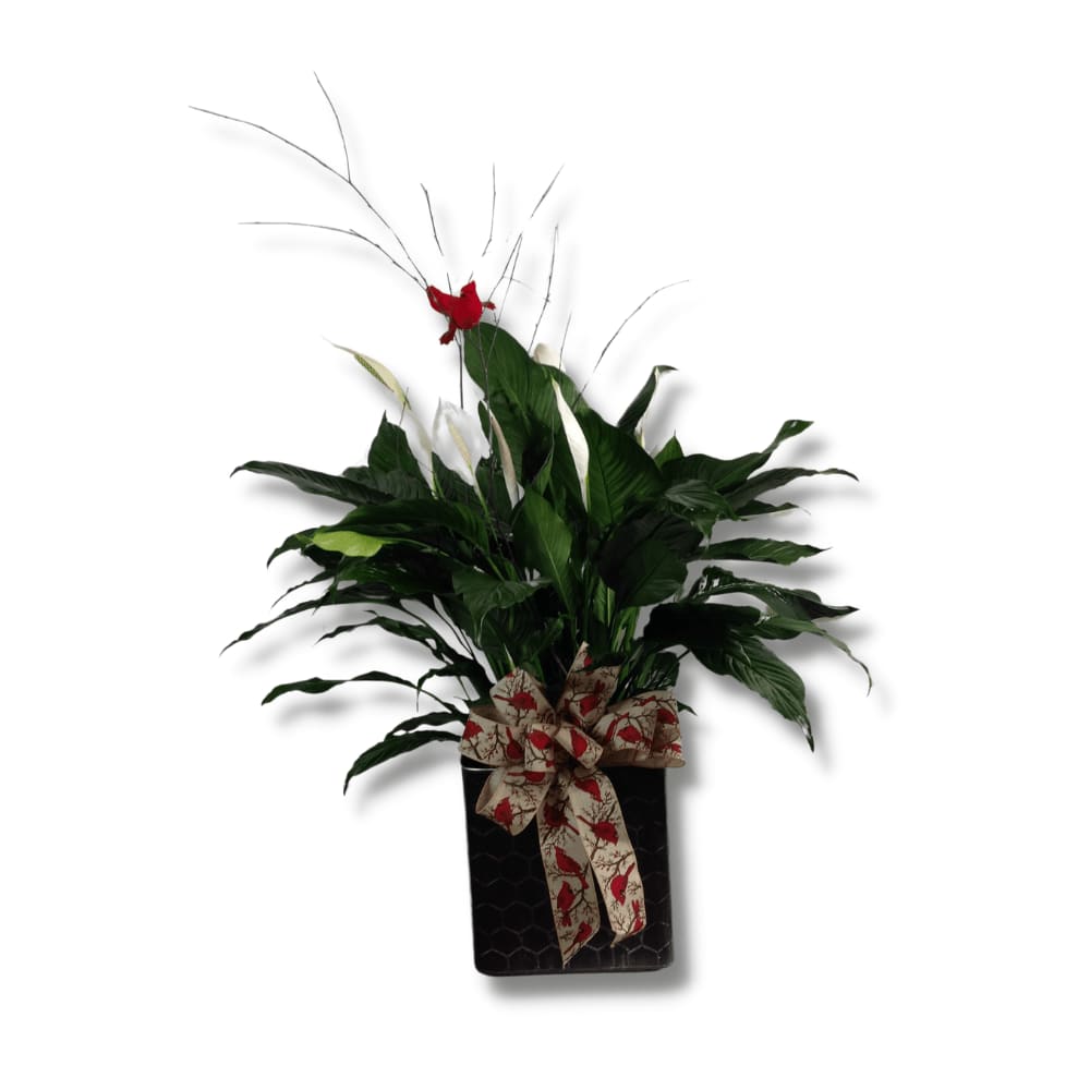 Red Bird Peace Lily Flower Bouquet