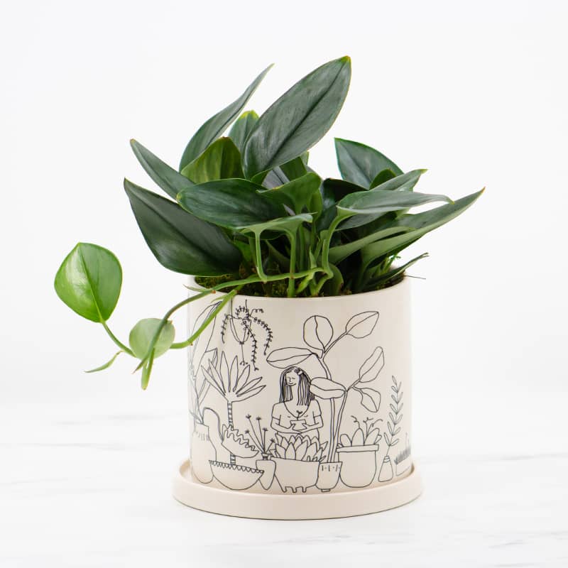 Plant Lady Philodendron Flower Bouquet