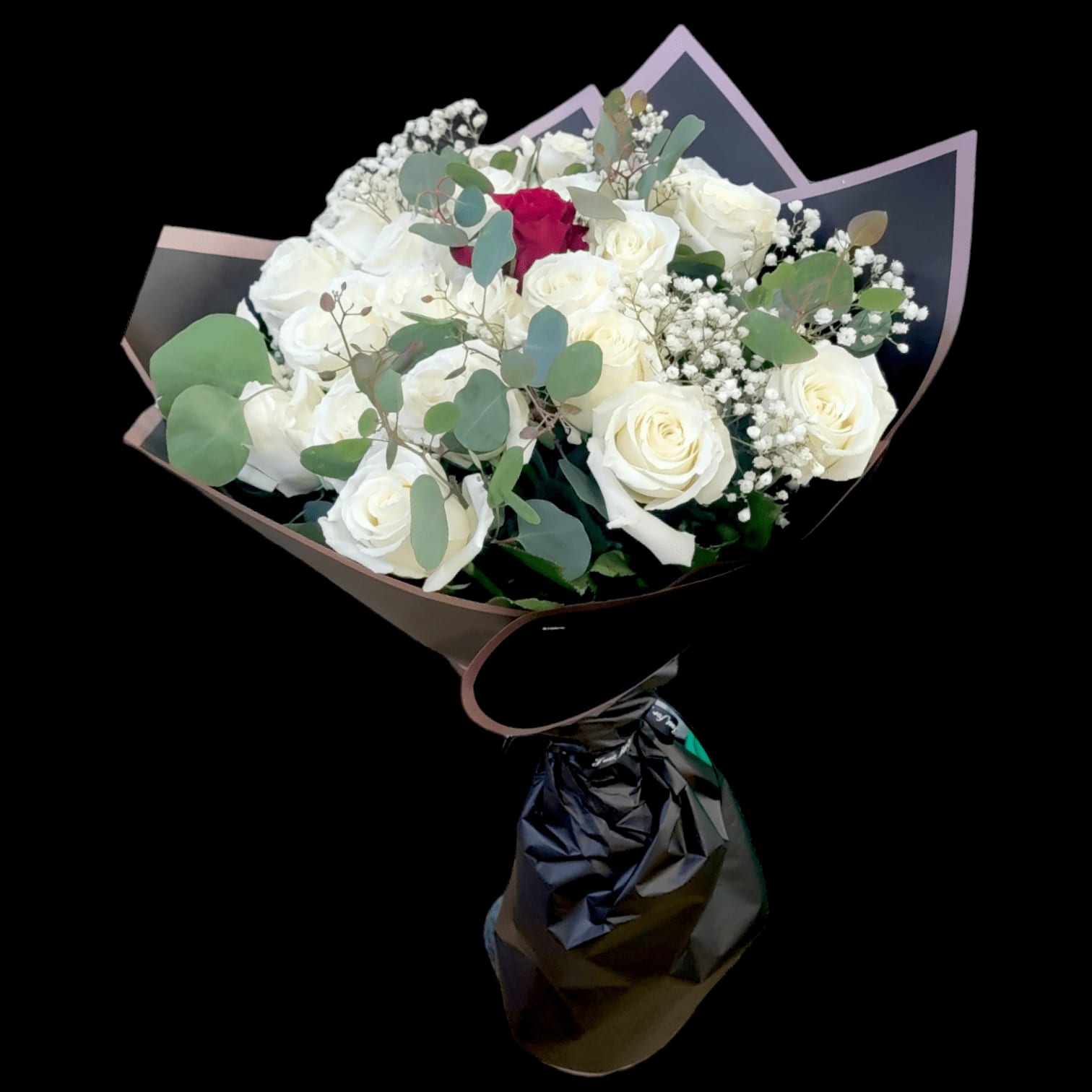 MY ONLY ONE WRAP WITH FILLERS