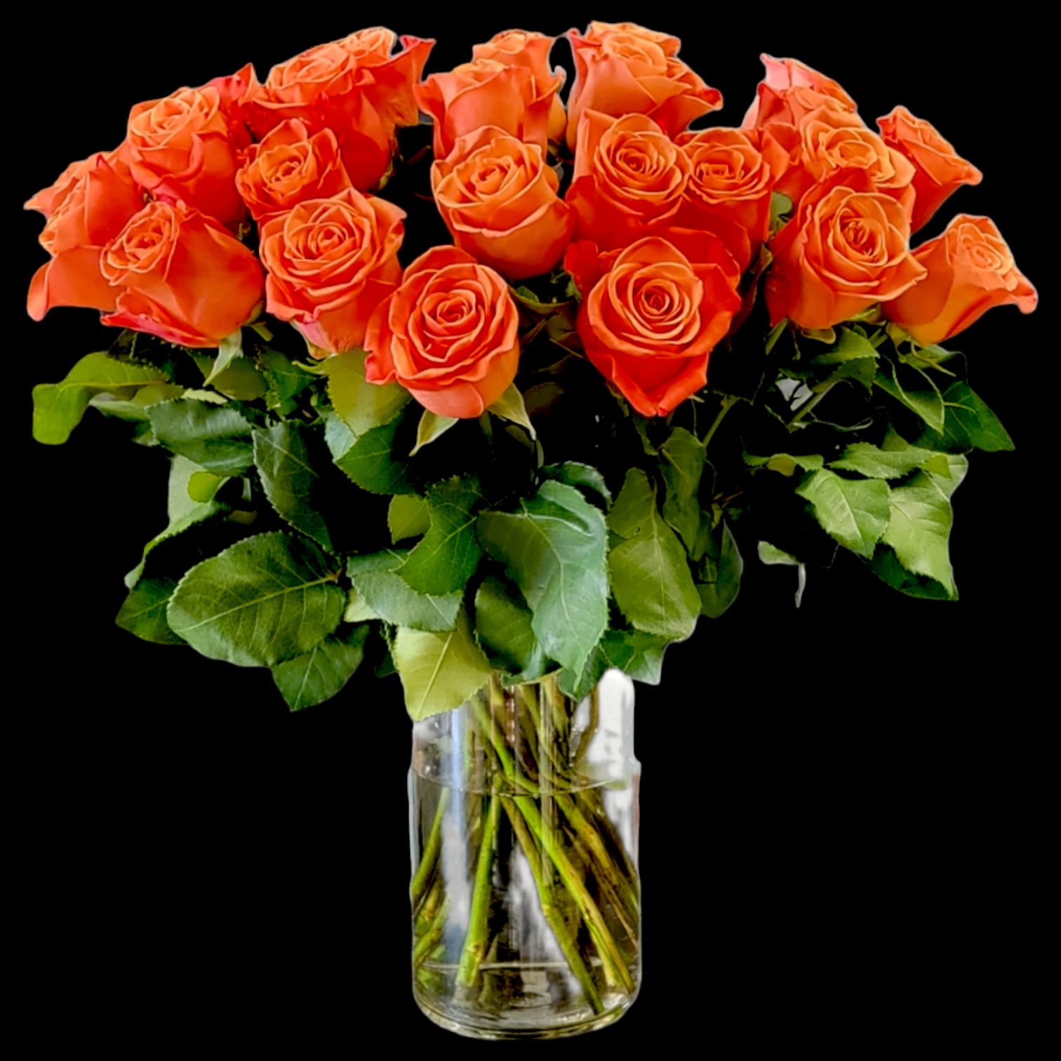 CLASSIC ORANGE IN VASE