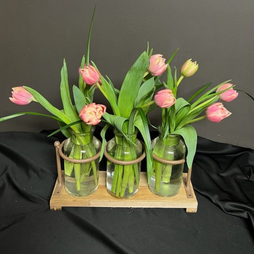 Simply tulips