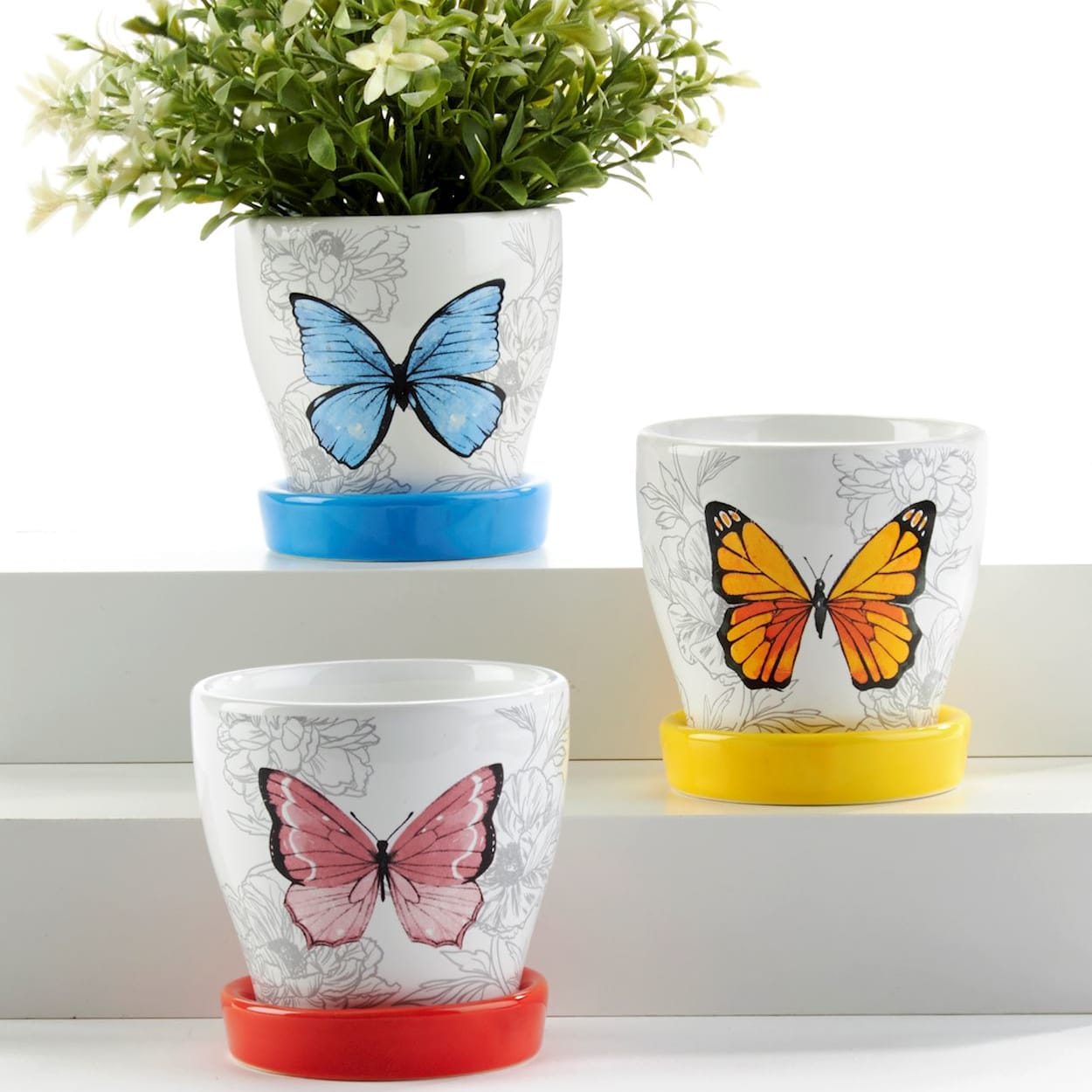 Butterfly Planter w/Tray