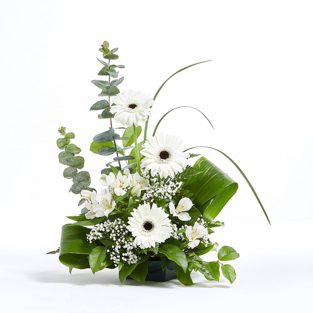 Graceful Moments for Sympathy