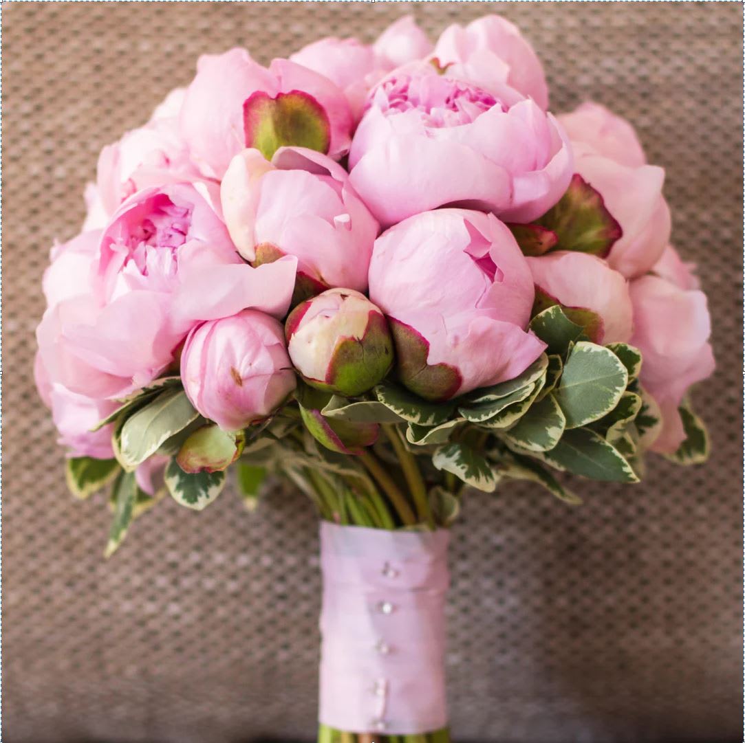 Peonies Please (Limited Availability)