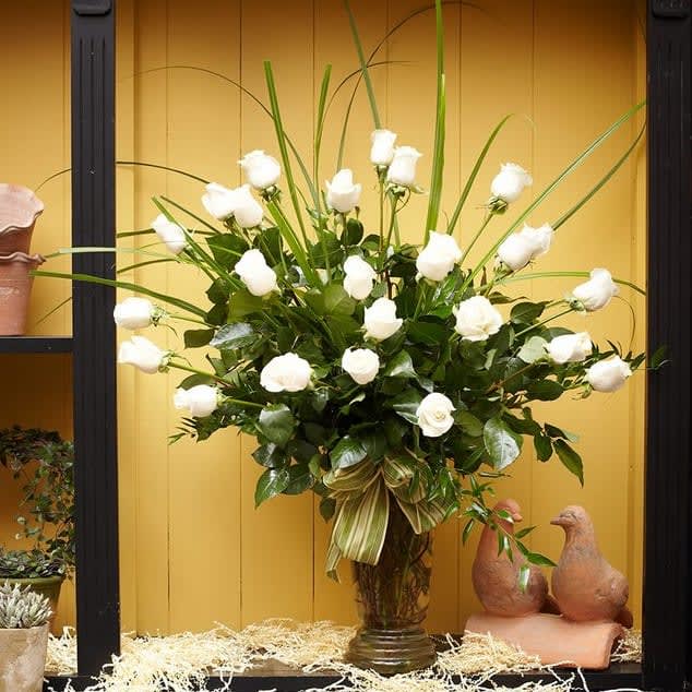 Daylily 24 White Roses