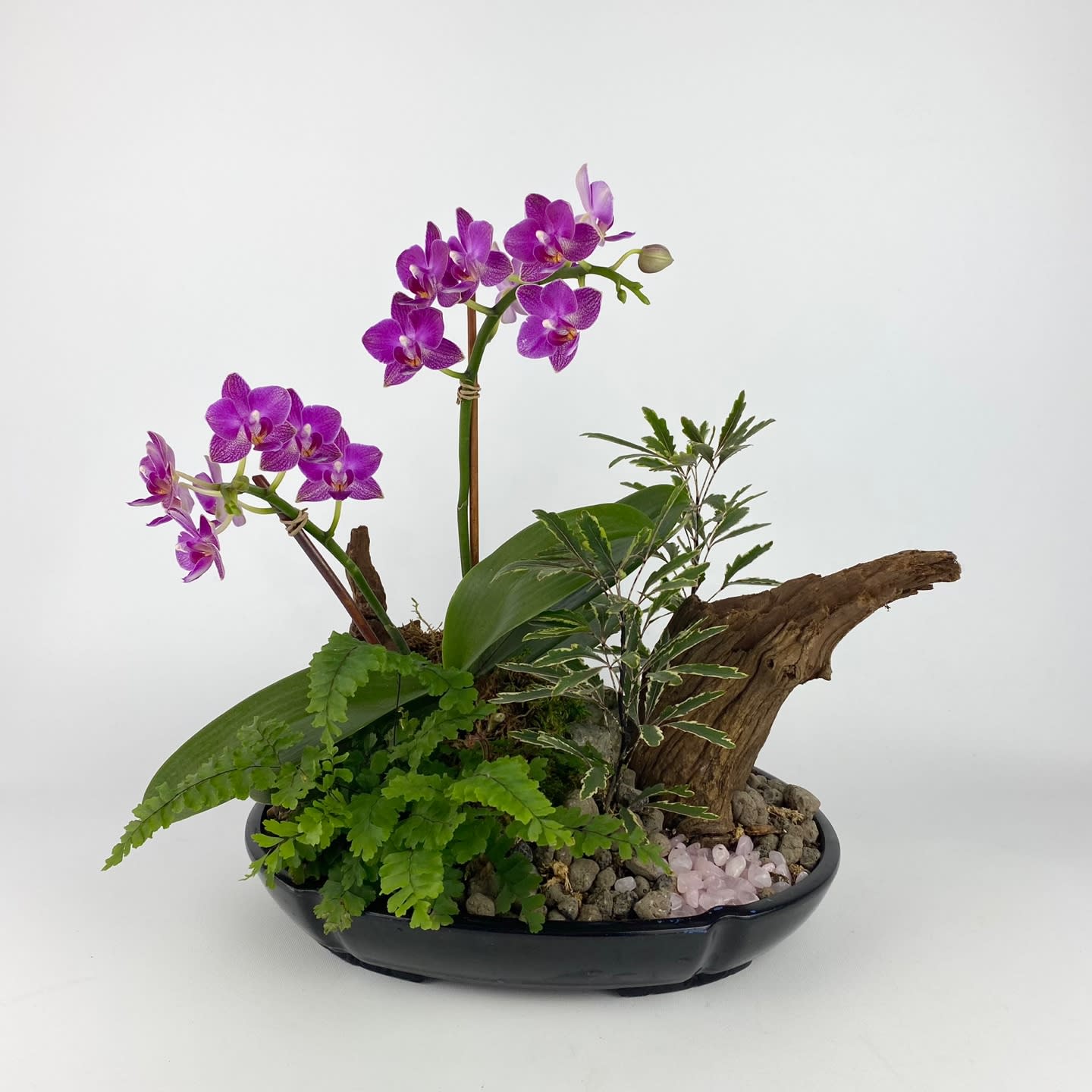 Closter Florist Fresh Flower Delivery Closter NJ by Closter Flowers