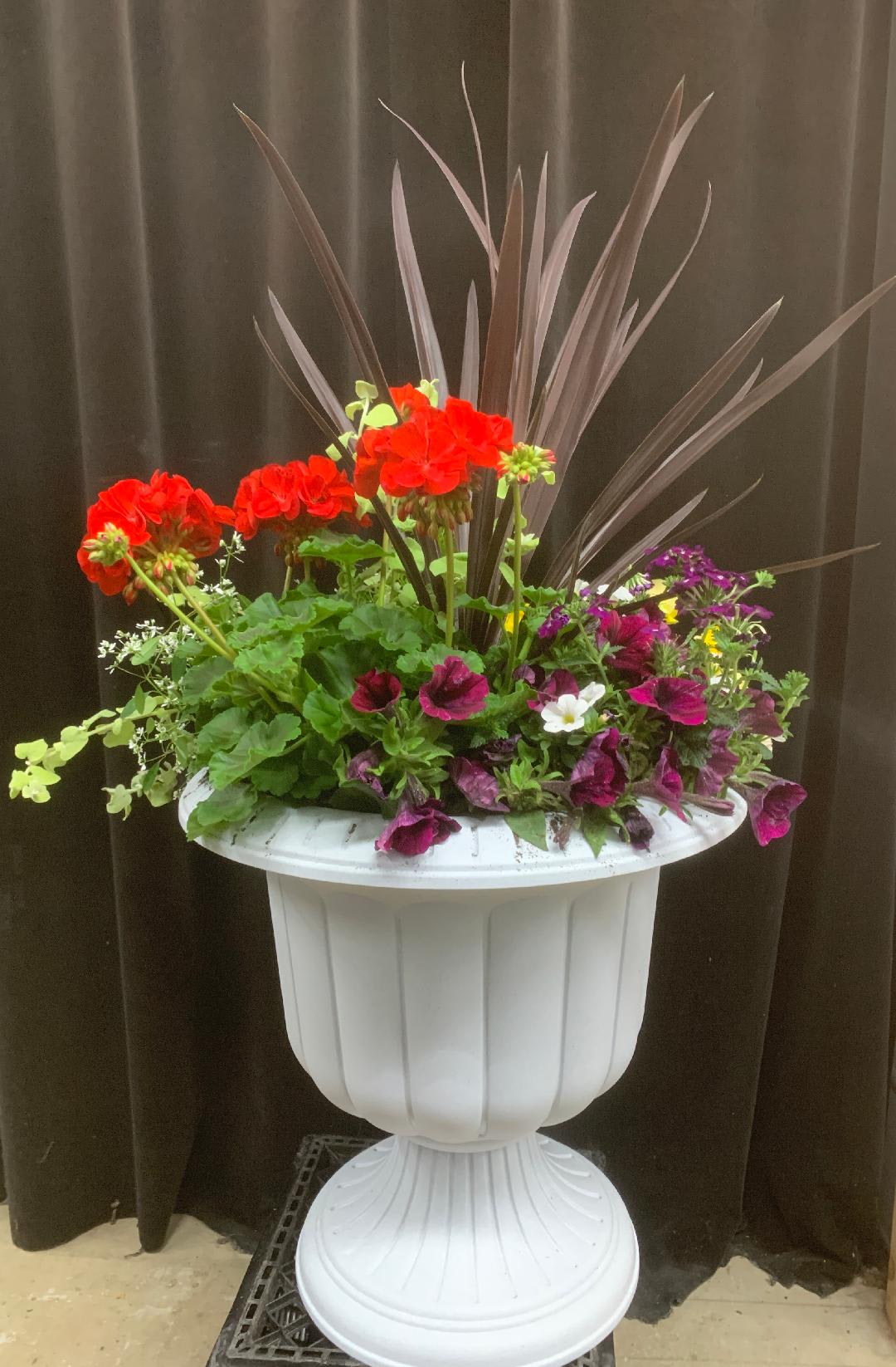 Algonquin IL Florist FREE Flower Delivery in Algonquin IL Town