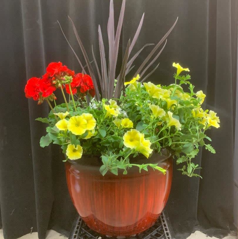 Algonquin IL Florist FREE Flower Delivery in Algonquin IL Town