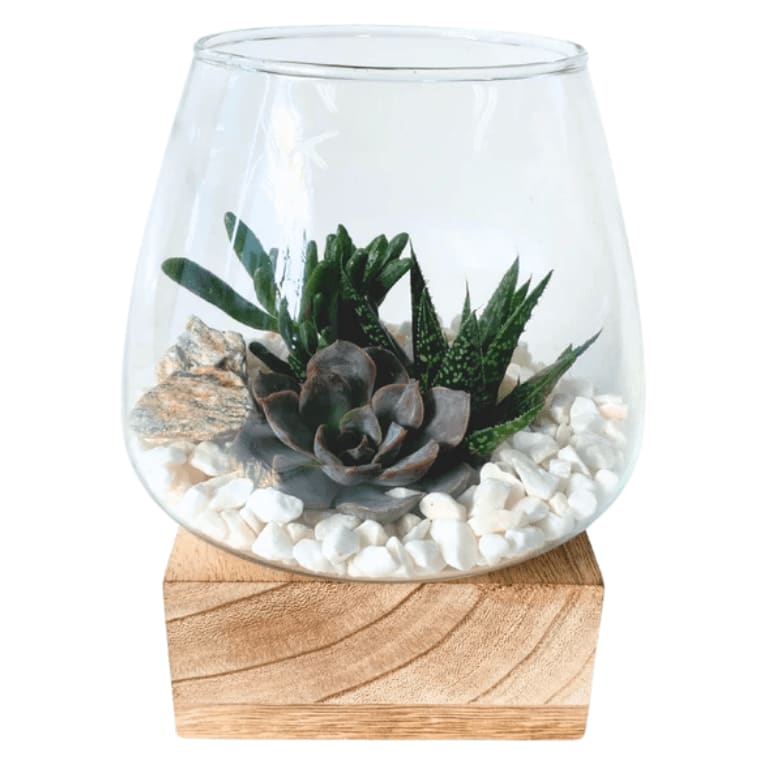 Wooden Based Succulent Garden Flower Bouquet