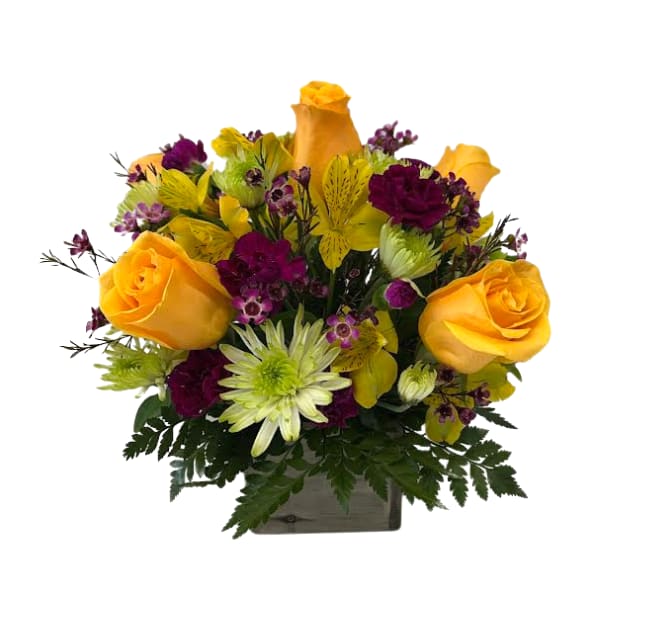 Blooming Joy IF-5025