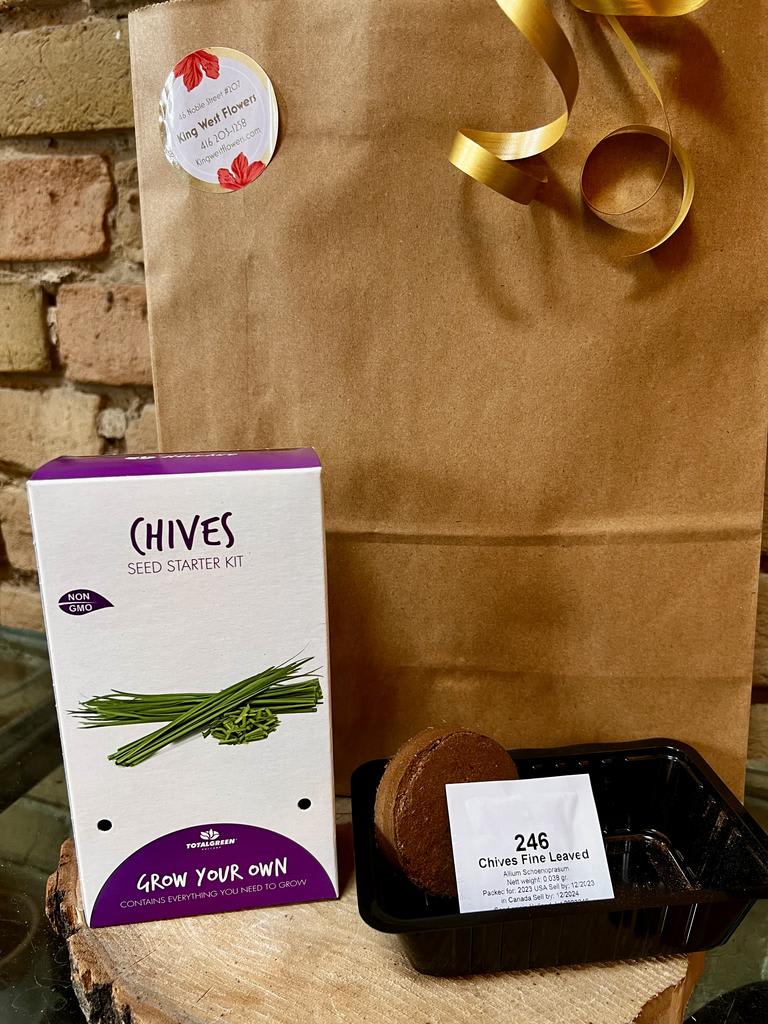 Everything You Need Seed Growing Kit - Chive