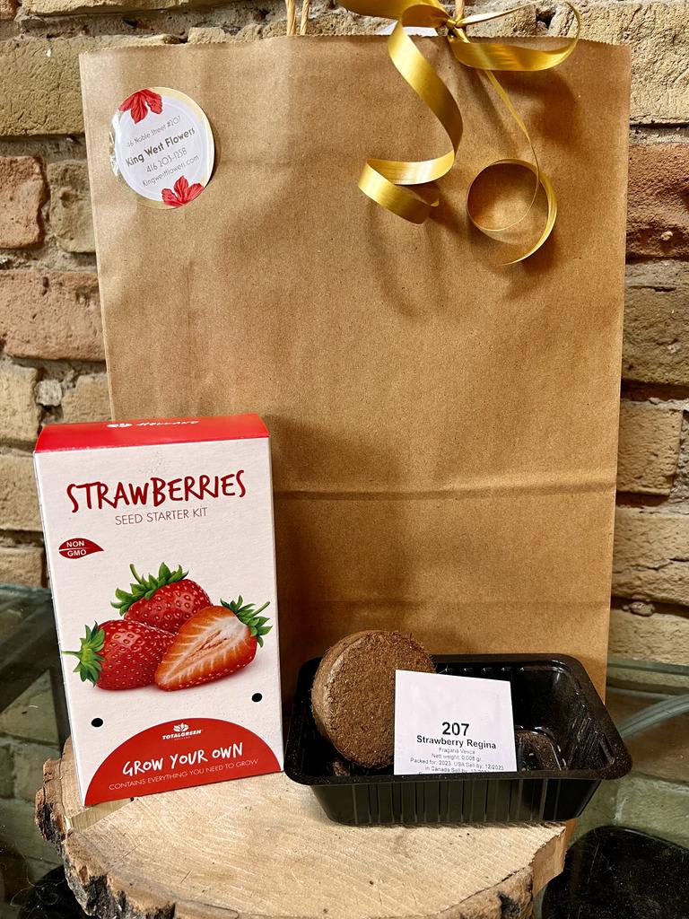 Everything You Need Seed Growing Kit - Strawberries