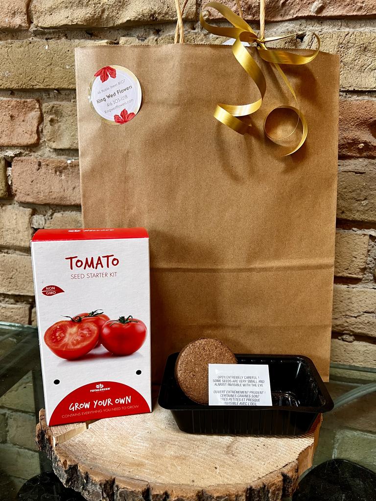 Everything you need seed kit - Tomato