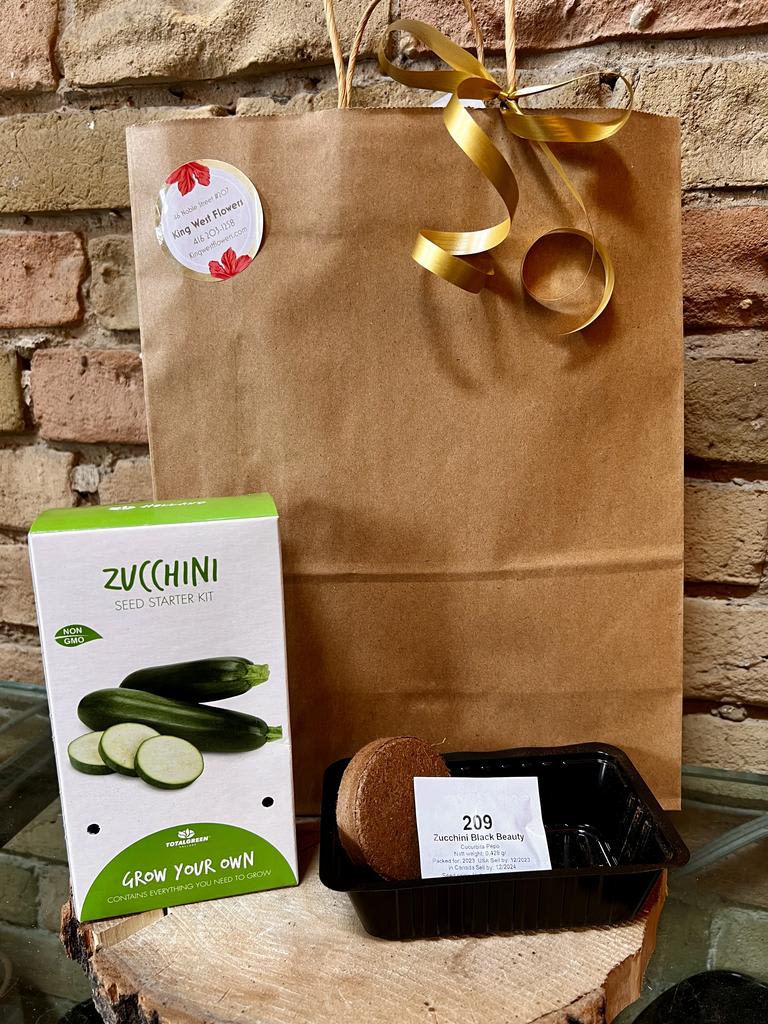 Everything you need seed kit -Zucchini