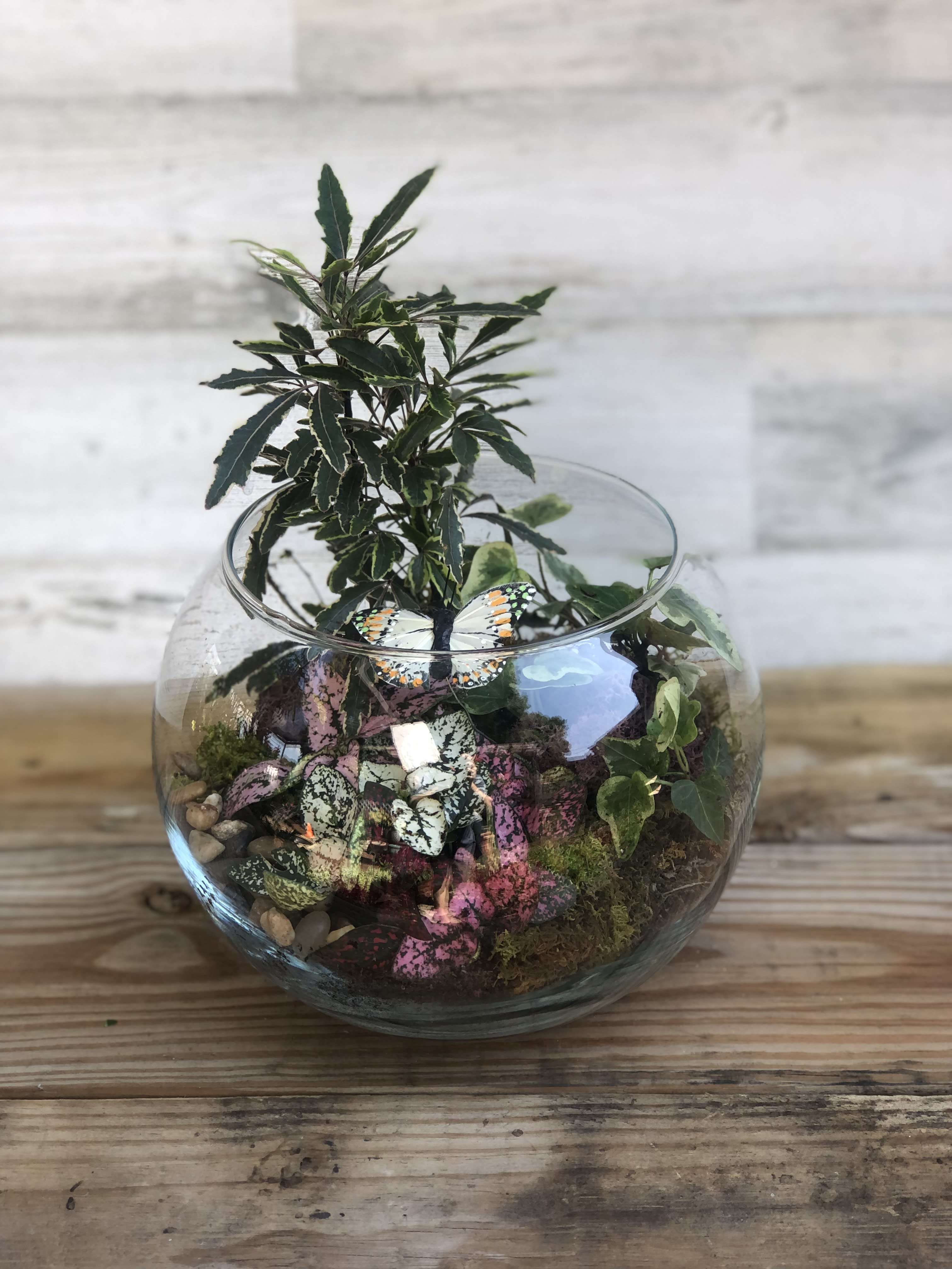 Terrarium Garden Flower Bouquet