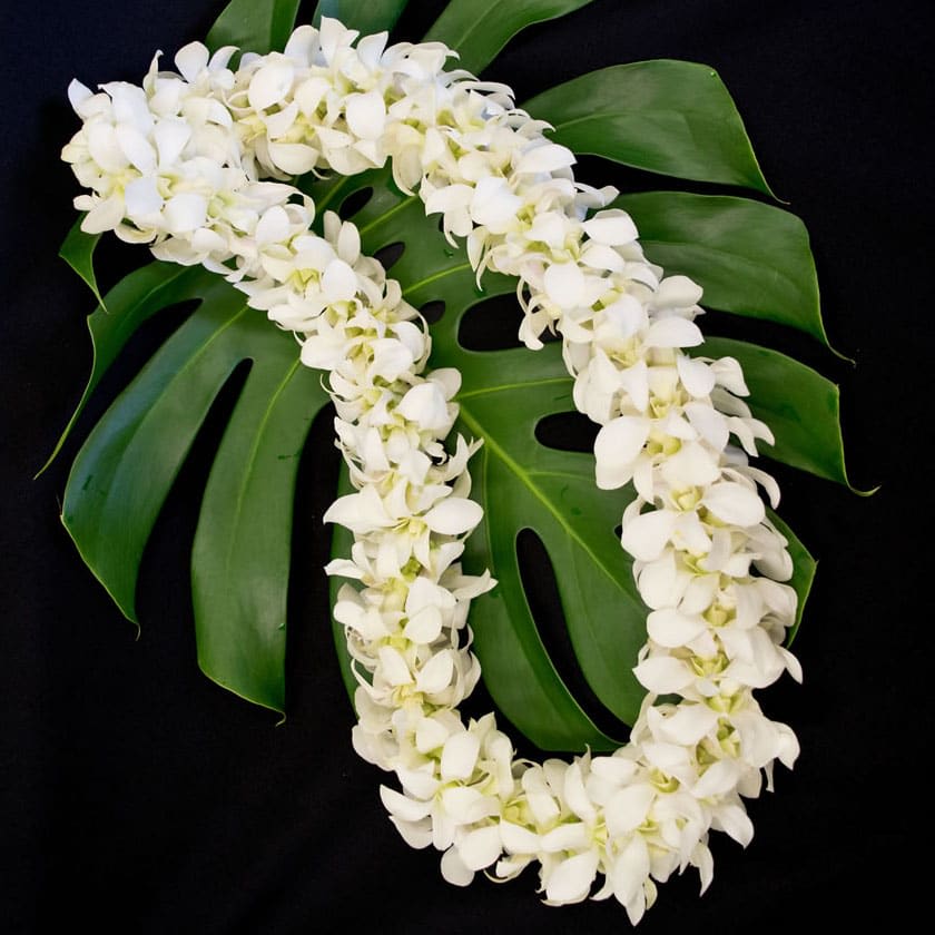 white double orchid lei - available 05/26