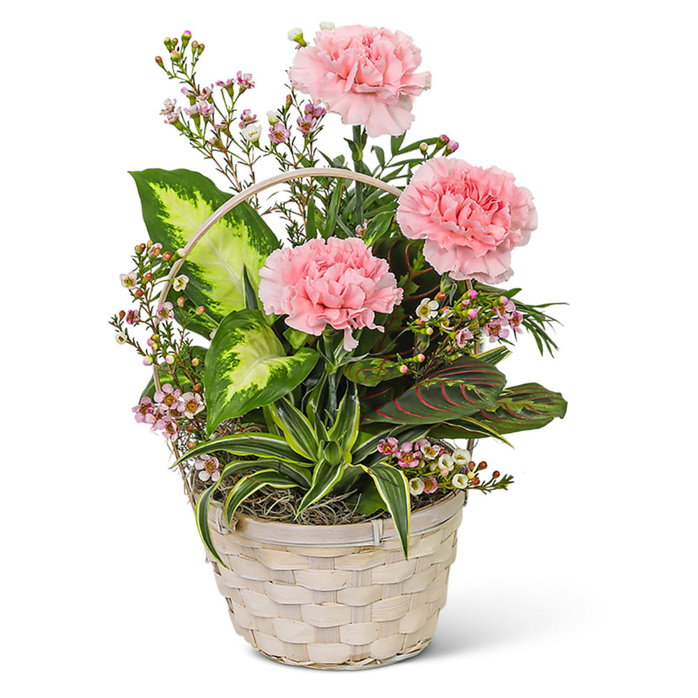 Dish Garden with Pink Florals Flower Bouquet