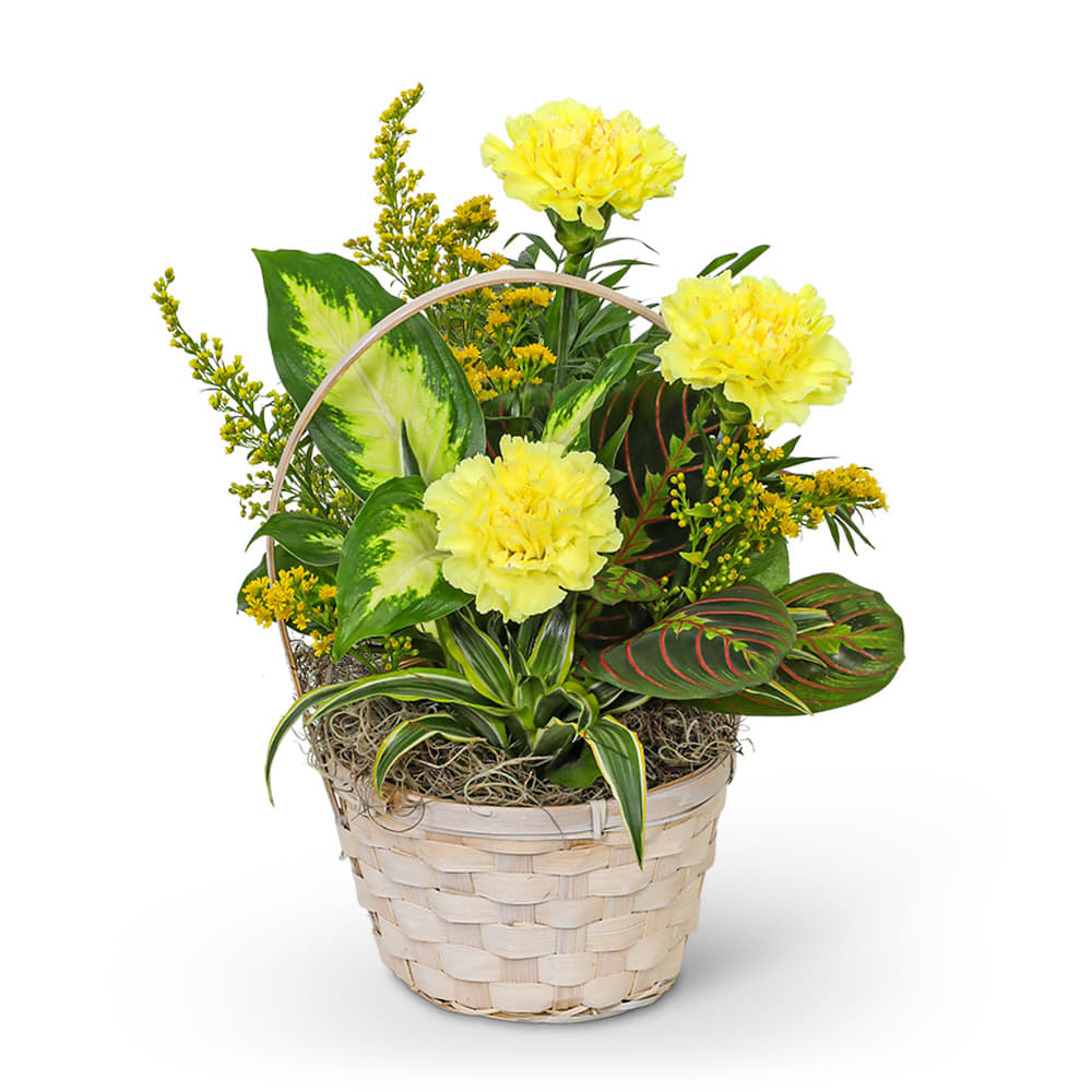 Dish Garden with Yellow Florals Flower Bouquet