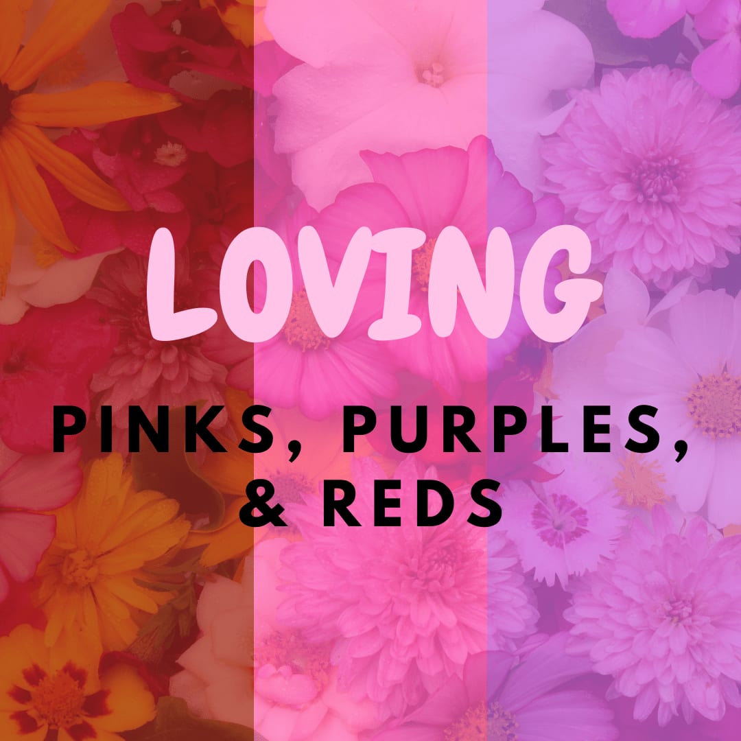 LOVING - CUSTOM VASE (PINKS, PURPLES, REDS)