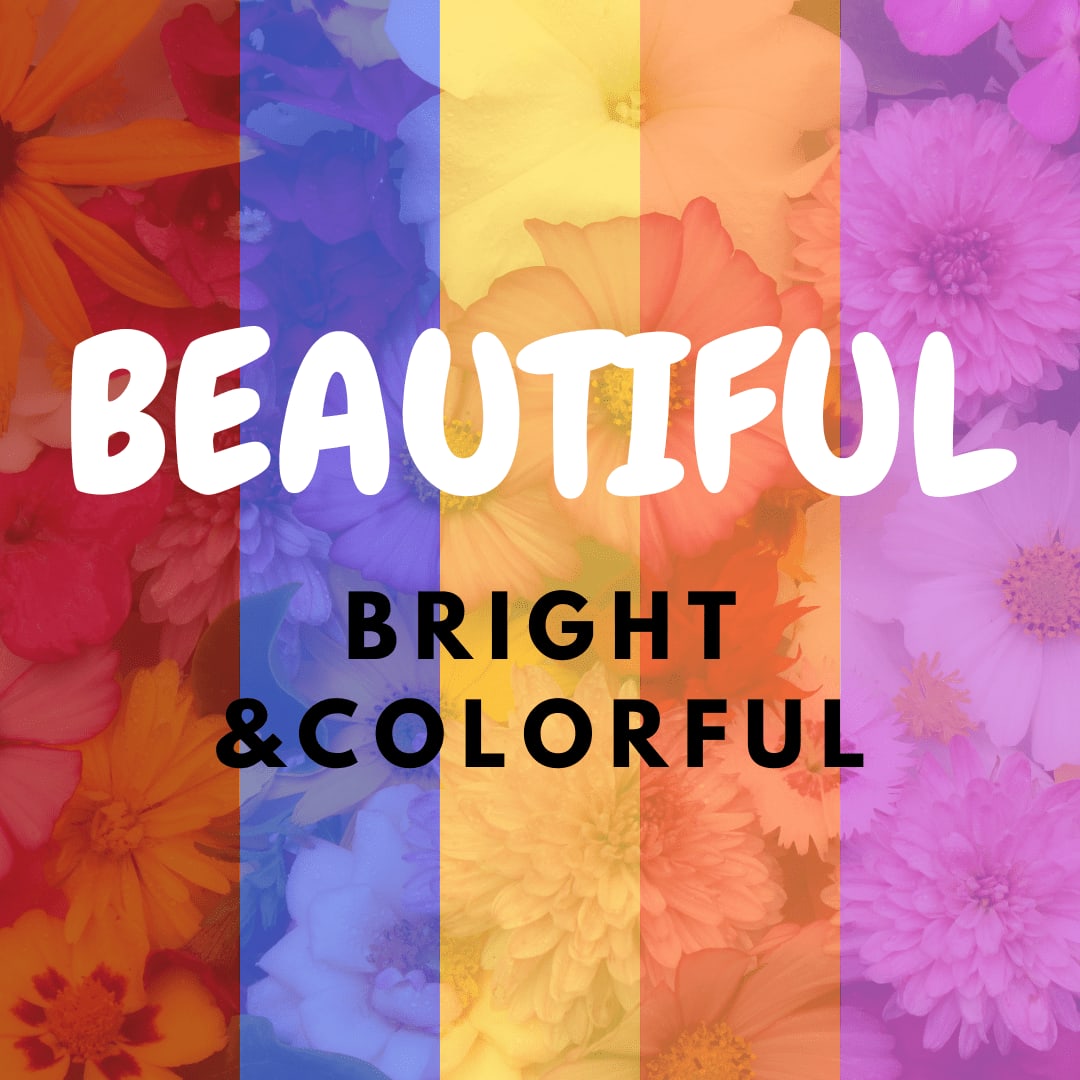 BEAUTIFUL - CUSTOM VASE (COLORFUL)