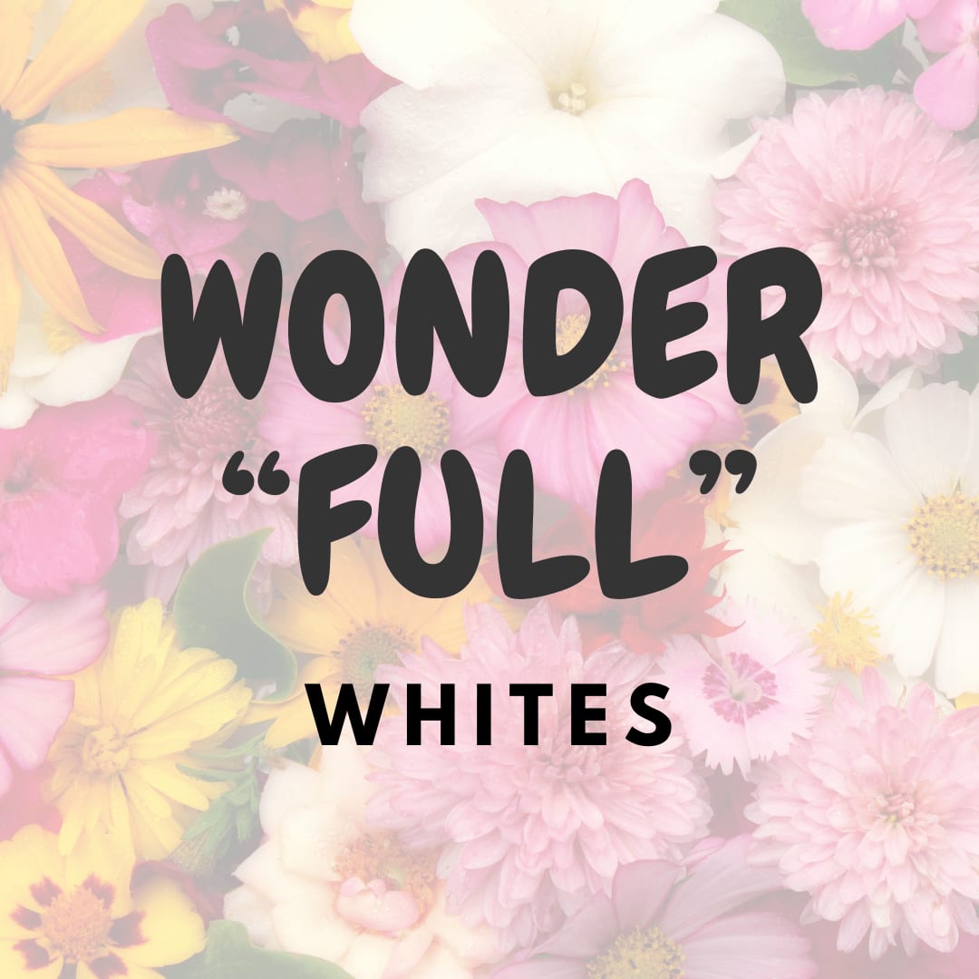 WONDER"FULL" - CUSTOM VASE (WHITES)