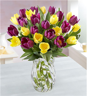 Spring Passion Tulips