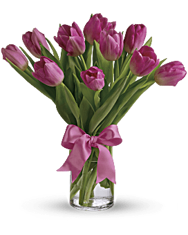 Precious Pink Tulips