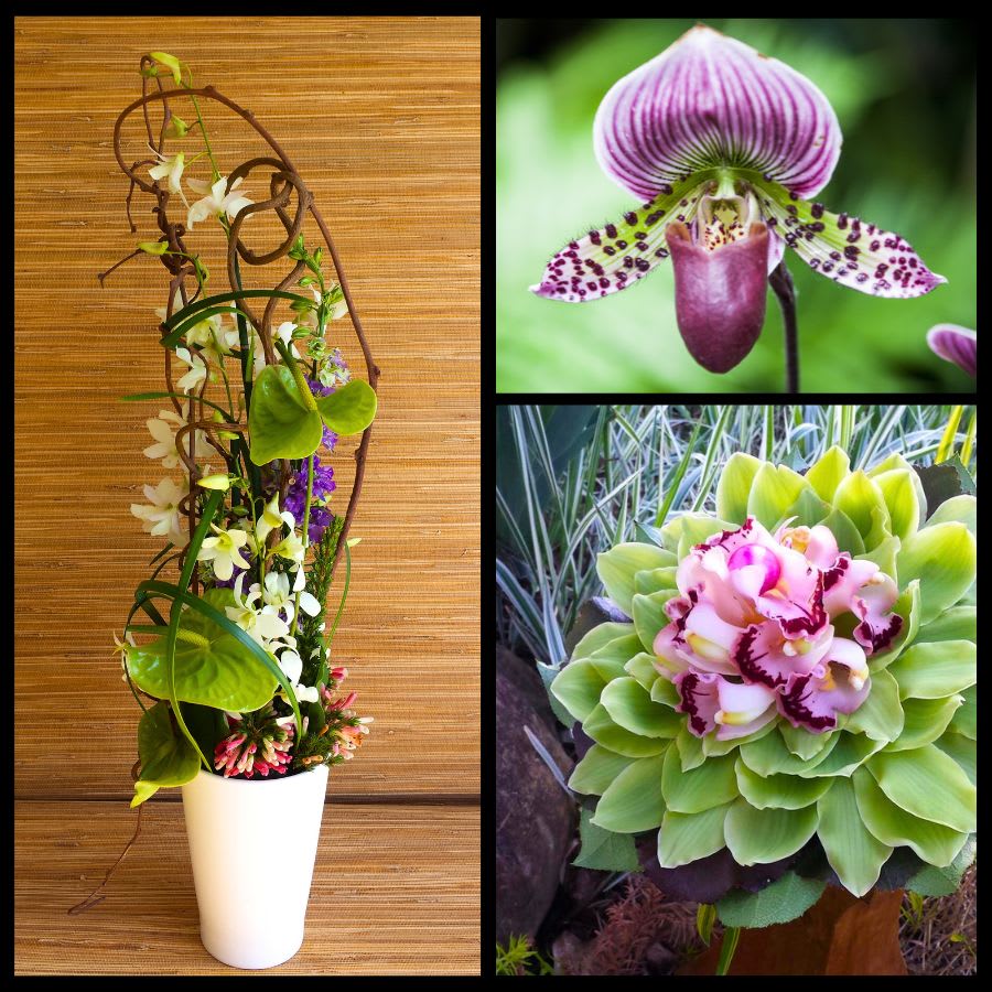 Floral Fantasy - Luxury Flowers Flower Bouquet