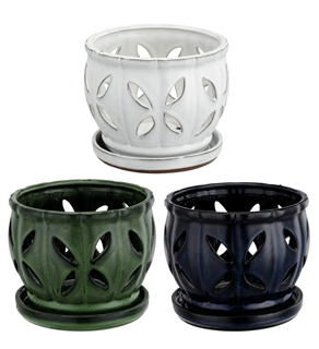 Large Orchid Pot Flower Bouquet