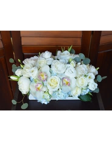 Chag Sameach Long & Low