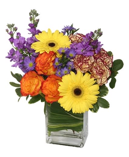 Good Old Summertime Arrangement Flower Bouquet