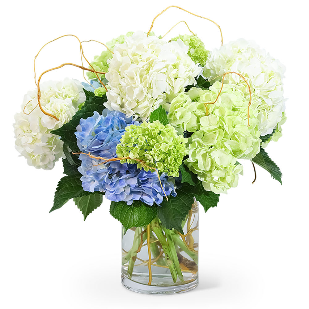 Hello, Hydrangea! Flower Bouquet