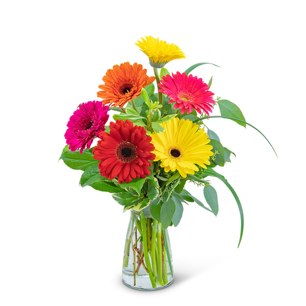 Sunny Gerbera Flower Bouquet