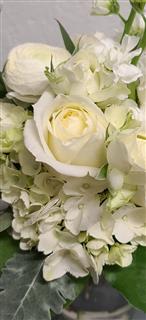 Simple White Palette