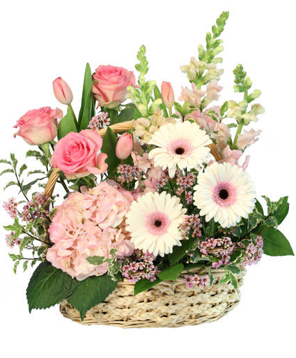 Pink Bundles Of Joy Basket Arrangement Flower Bouquet