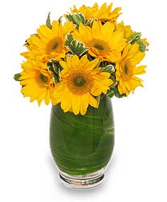 Sunny Day Greetings Vase Of Flowers