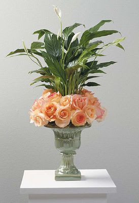 Peace Lily And Roses Flower Bouquet