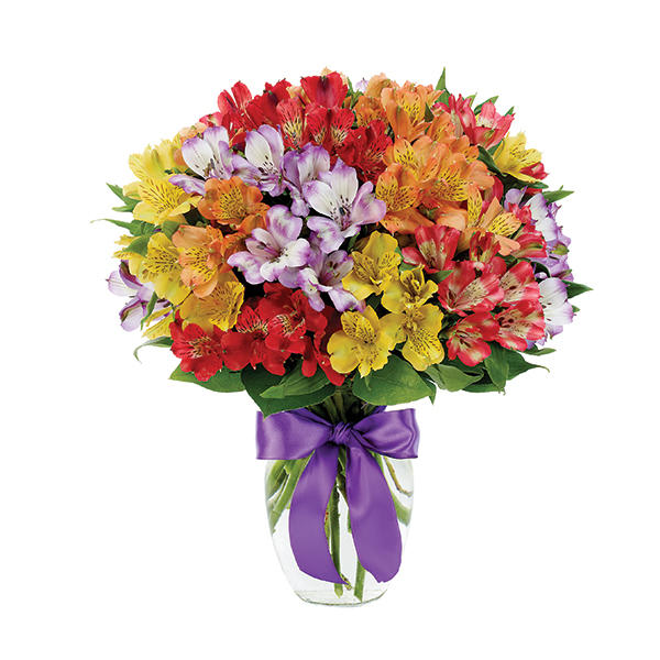 Rainbow Peruvian Lilies Vased