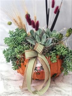 PUMPKIN SUCCULENT GARDEN Flower Bouquet