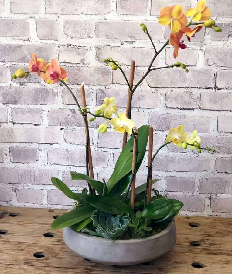 Sunset Orchids Flower Bouquet