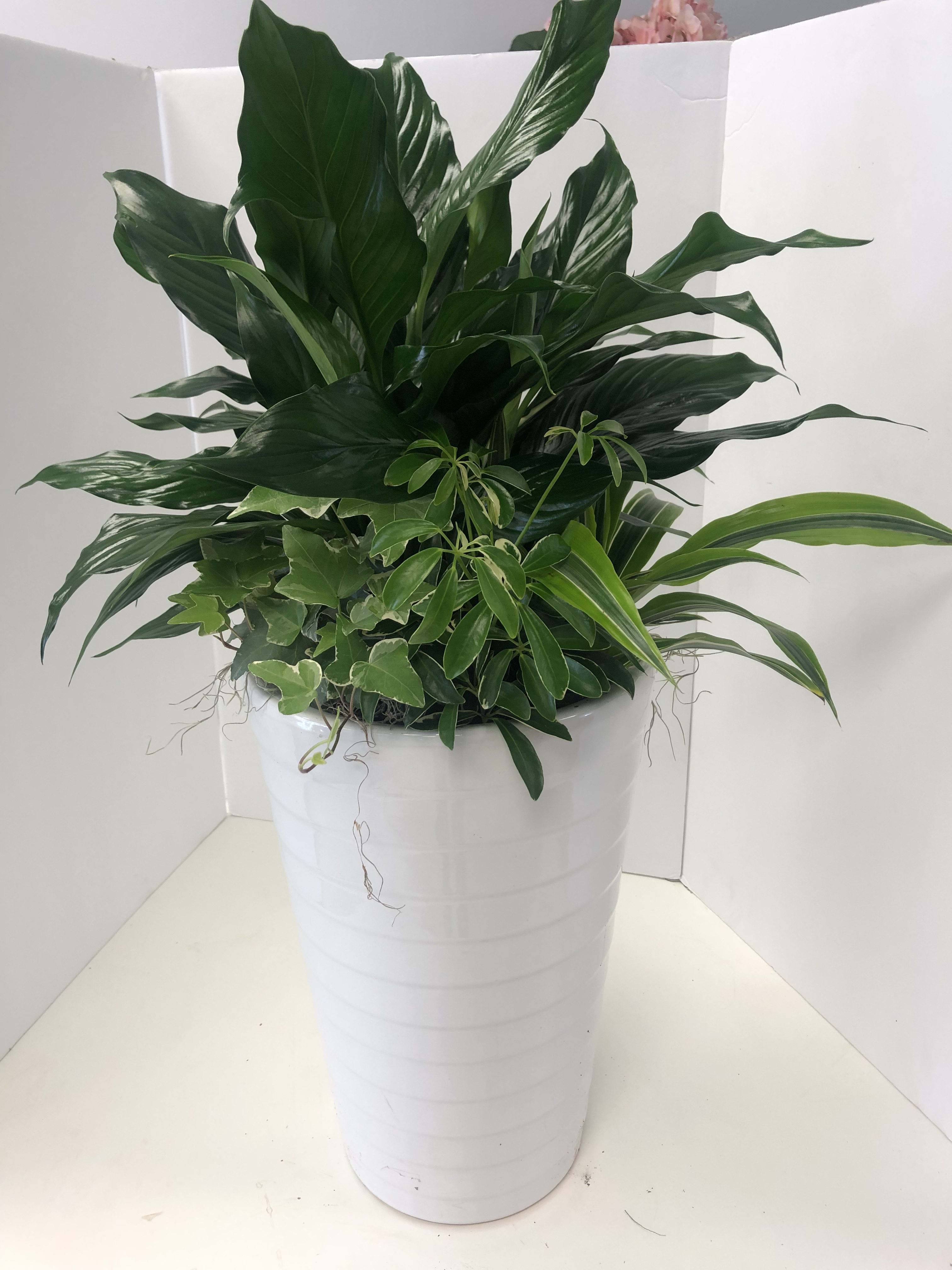 cylinder ceramic garden