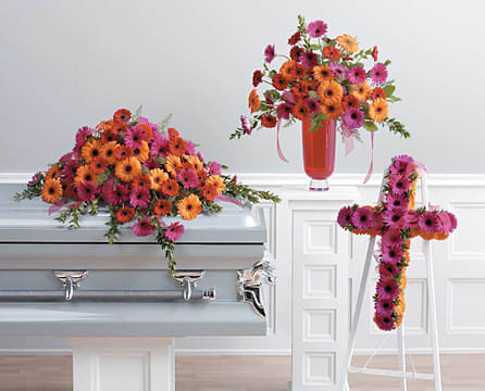Gerbera sympathy collection