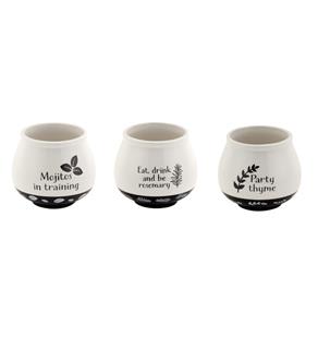 Herb Cache Pots Flower Bouquet