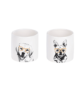 Cool Dog Planter Flower Bouquet