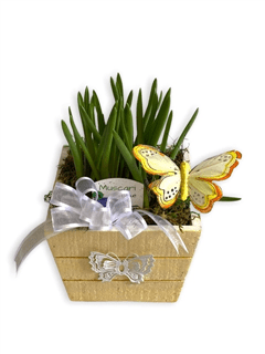 Butterfly Box Flower Bouquet