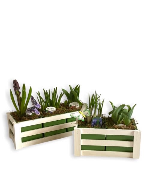 Country Garden Spring Bulb Planter